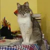 Отзыв от Римма Кузина